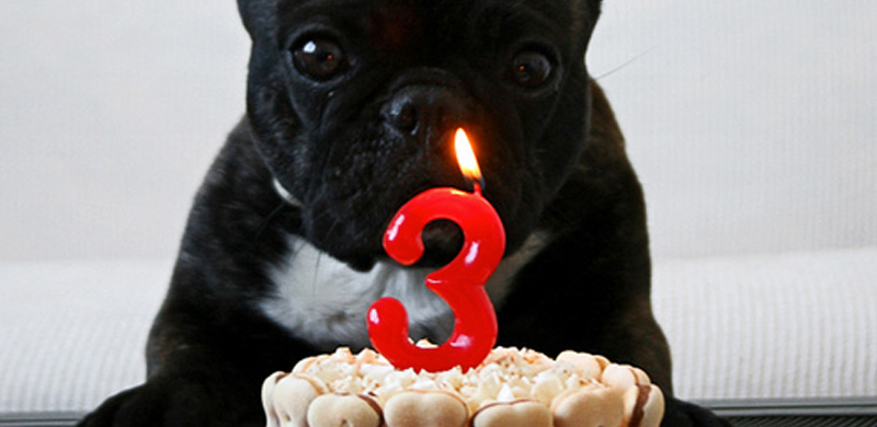 Hoy es el cumpleaños de Ida...